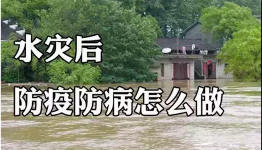 &#19975;&#35937;&#22478;&#22312;&#32447;&#45;&#19975;&#35937;&#22478;&#22312;&#32447;&#40;&#20013;&#22269;&#41;